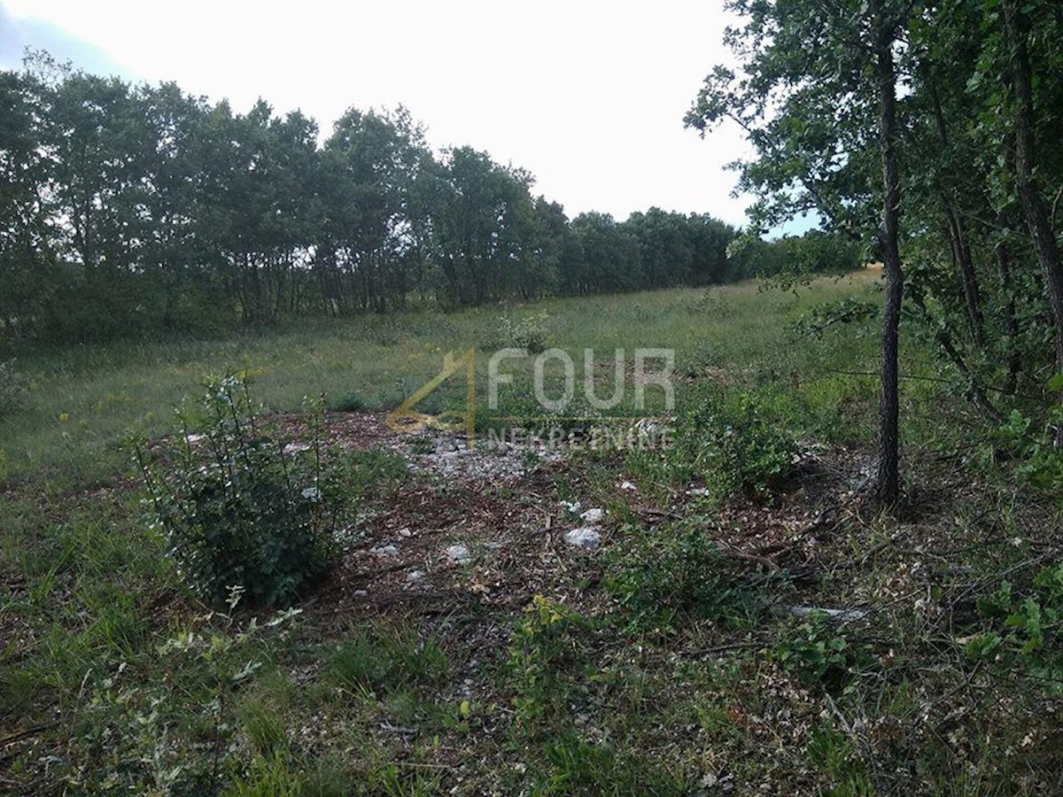 Terrain À vendre - ISTARSKA SVETVINČENAT