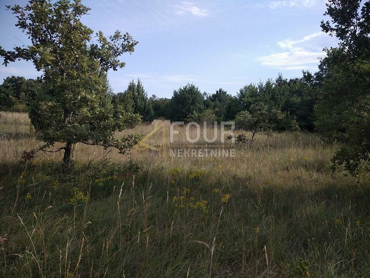 Terrain À vendre - Istarska Svetvinčenat - foto 2/11