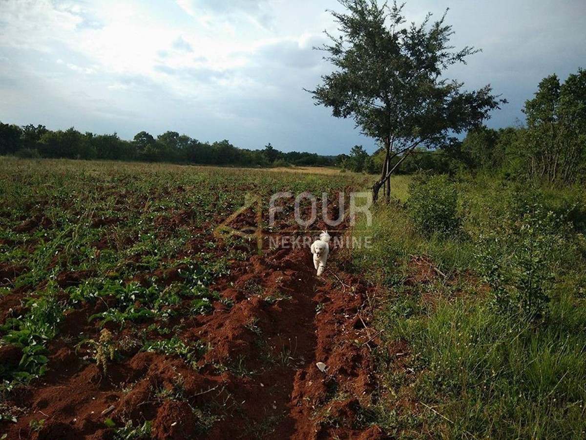 Terrain À vendre - Istarska Svetvinčenat - foto 3/11