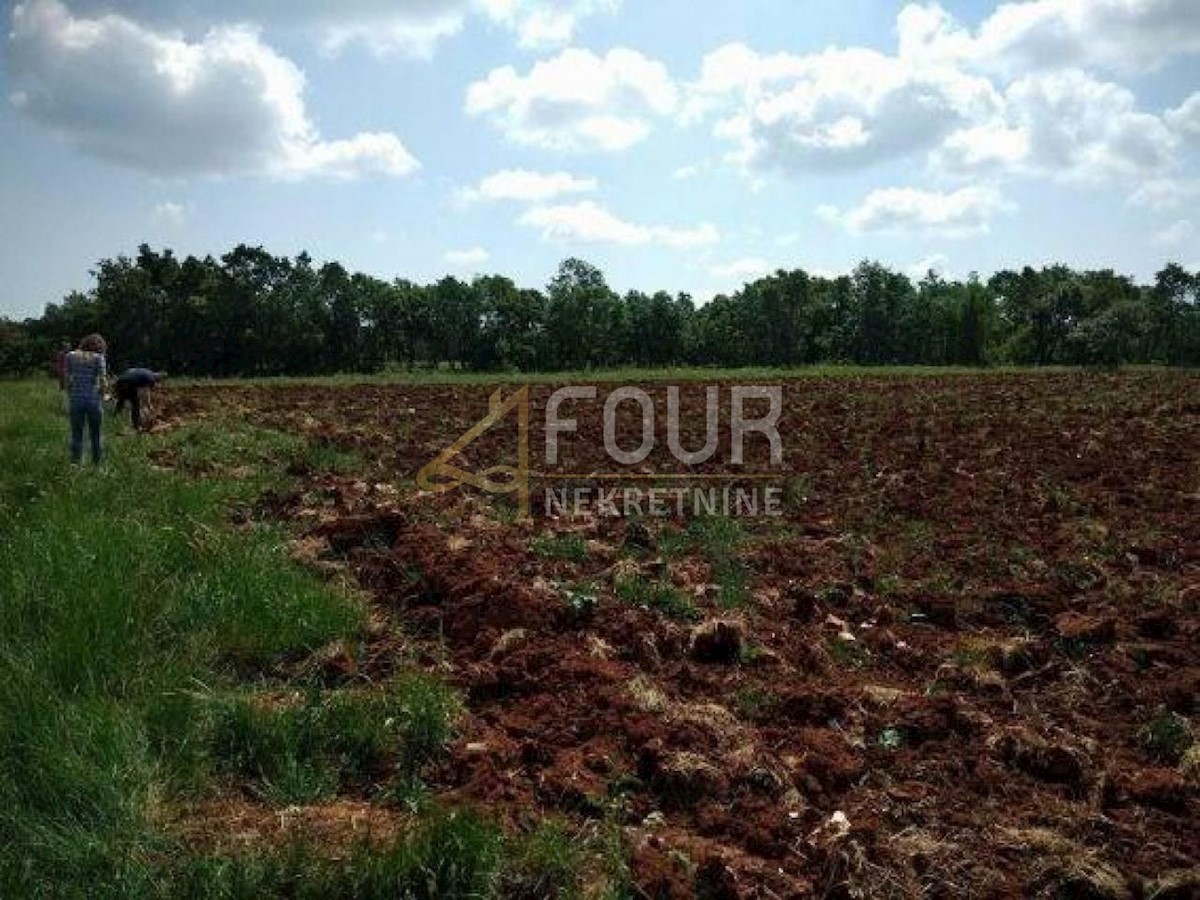 Terrain À vendre - ISTARSKA SVETVINČENAT