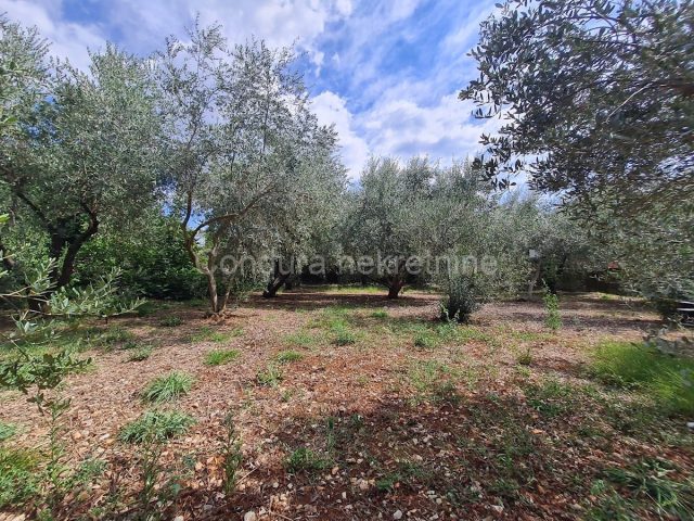 Land for sale 563 m² – Zadar