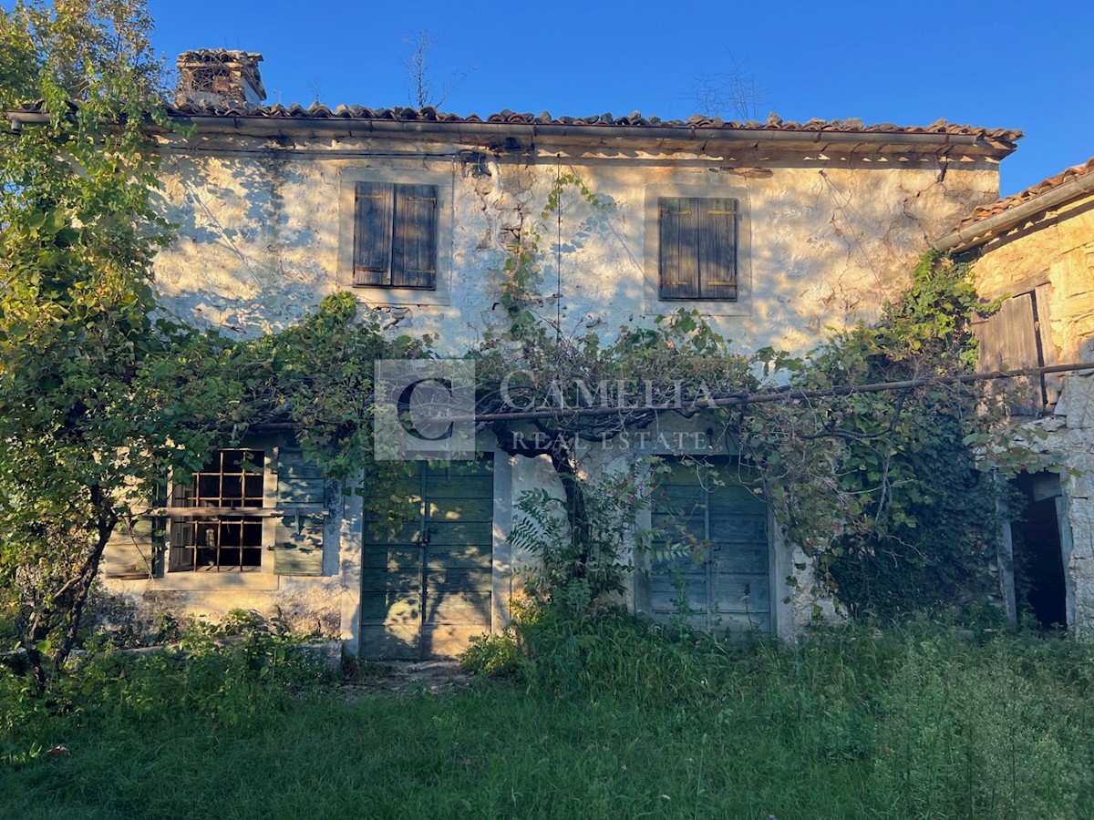 Maison À vendre HUM