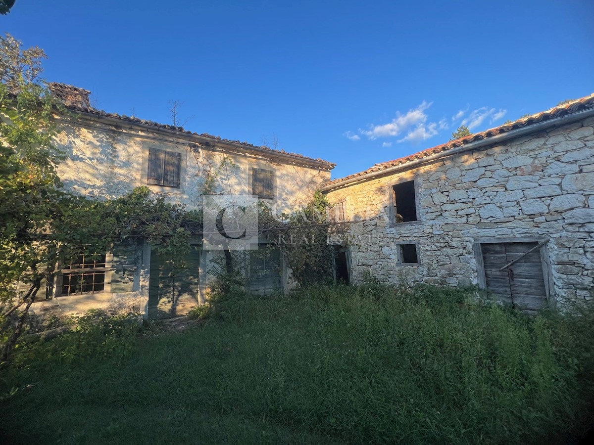 House For sale - ISTARSKA BUZET