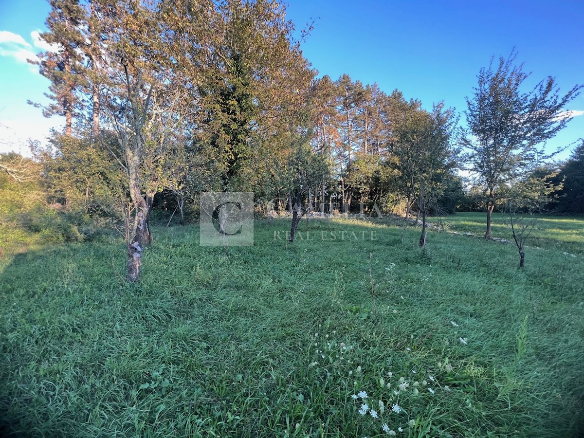 Maison À vendre - ISTARSKA BUZET