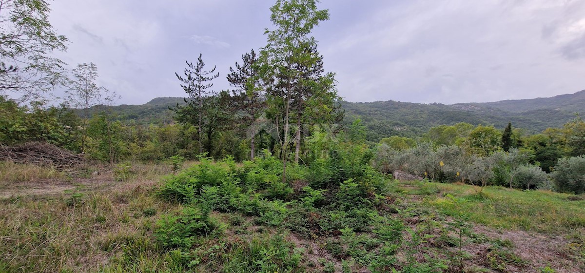 Haus Zu verkaufen - ISTARSKA GRAČIŠĆE