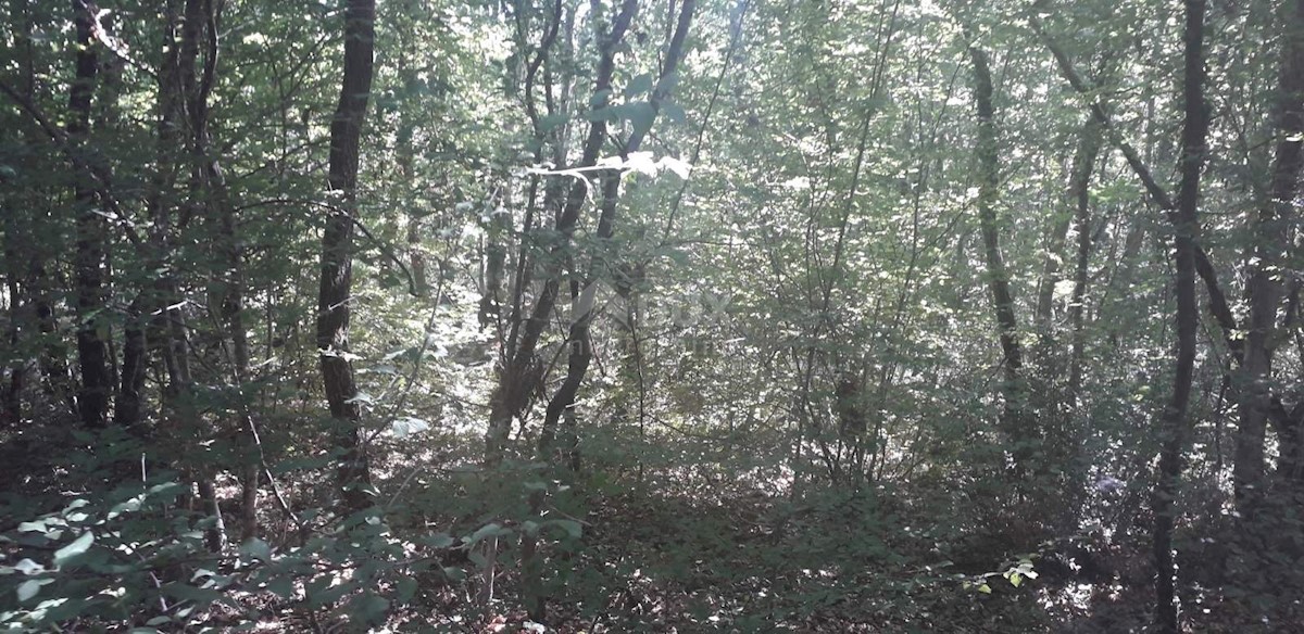 Parcela Na predaj - Istarska Svetvinčenat - foto 1/3