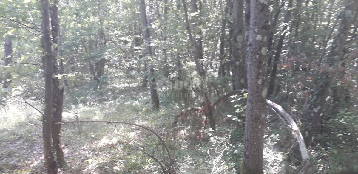 Parcela Na predaj - Istarska Svetvinčenat - foto 2/3