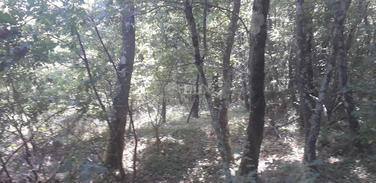 Parcela Na predaj - Istarska Svetvinčenat - foto 3/3