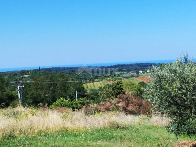 Działka na sprzedaż 2800 m² – Vižinada