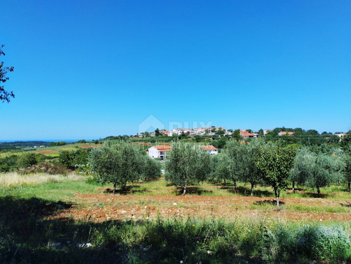 Terreno In vendita - ISTARSKA VIŽINADA