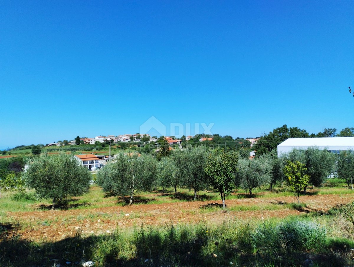 Terreno In vendita - ISTARSKA VIŽINADA