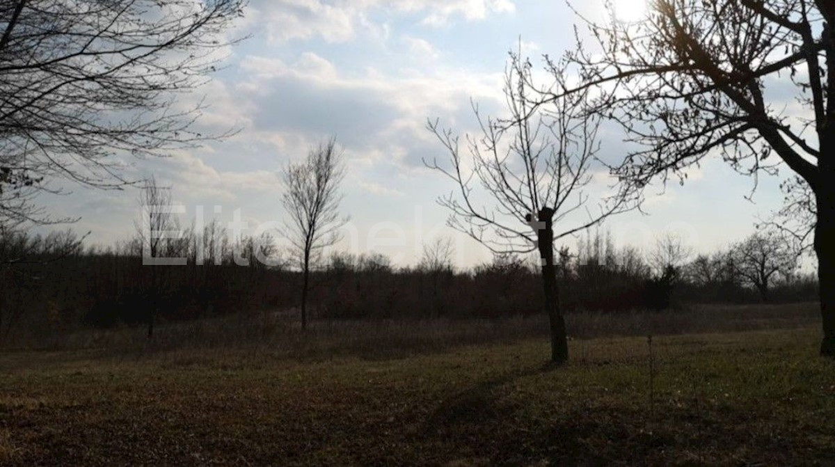 Terreno In vendita - ISTARSKA ŽMINJ