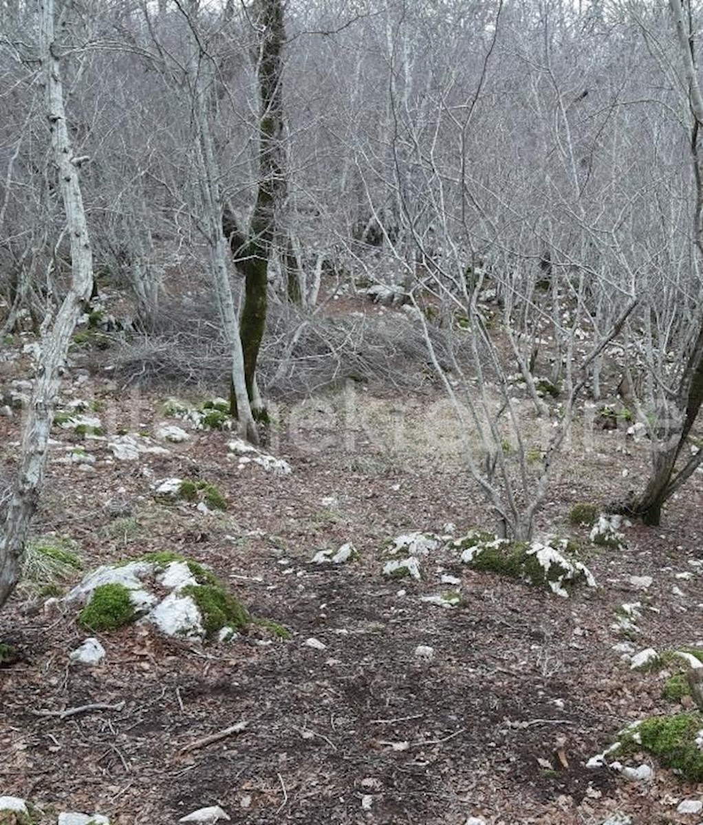 Zemljište Na prodaju - PRIMORSKO-GORANSKA KRK