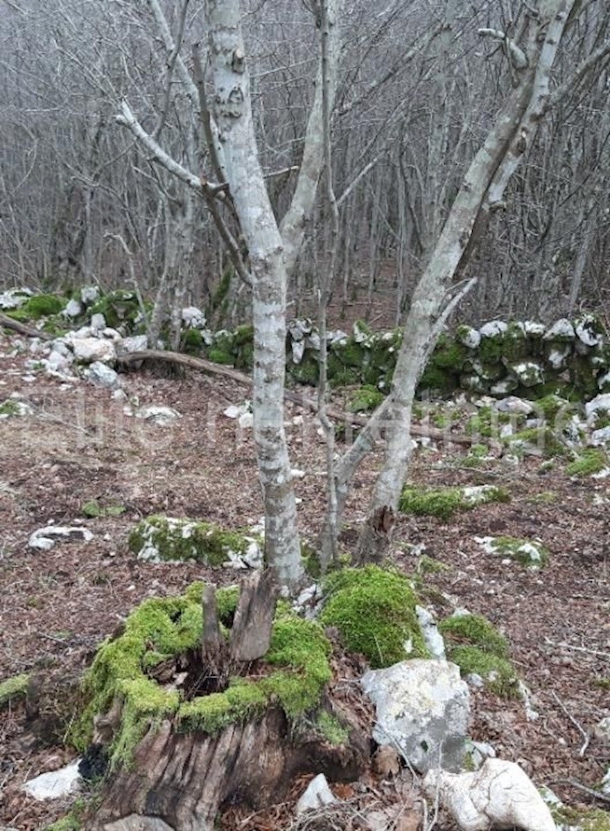 Zemljište Na prodaju - PRIMORSKO-GORANSKA KRK