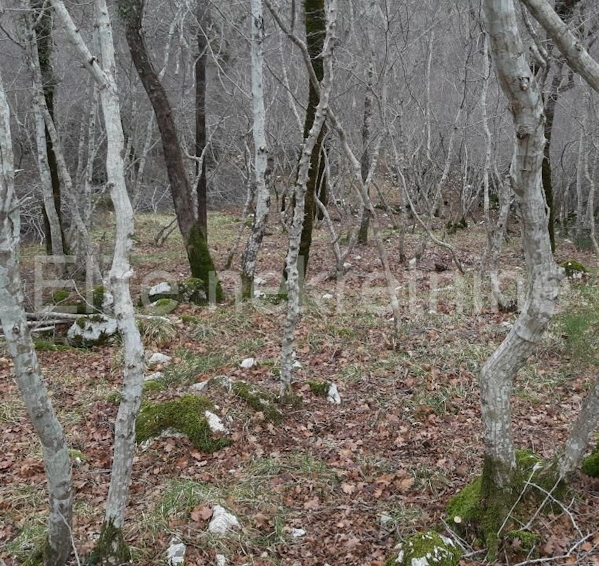 Zemljište Na prodaju - PRIMORSKO-GORANSKA KRK