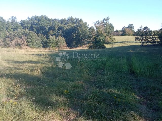 Pozemok na predaj 18486 m² – Laginji