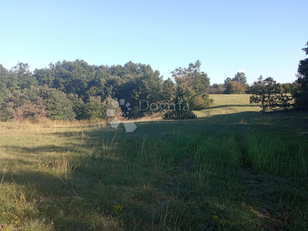 Terreno In vendita - ISTARSKA ŽMINJ