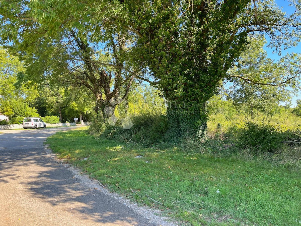 Terreno In vendita - Istarska Barban - foto 1/9