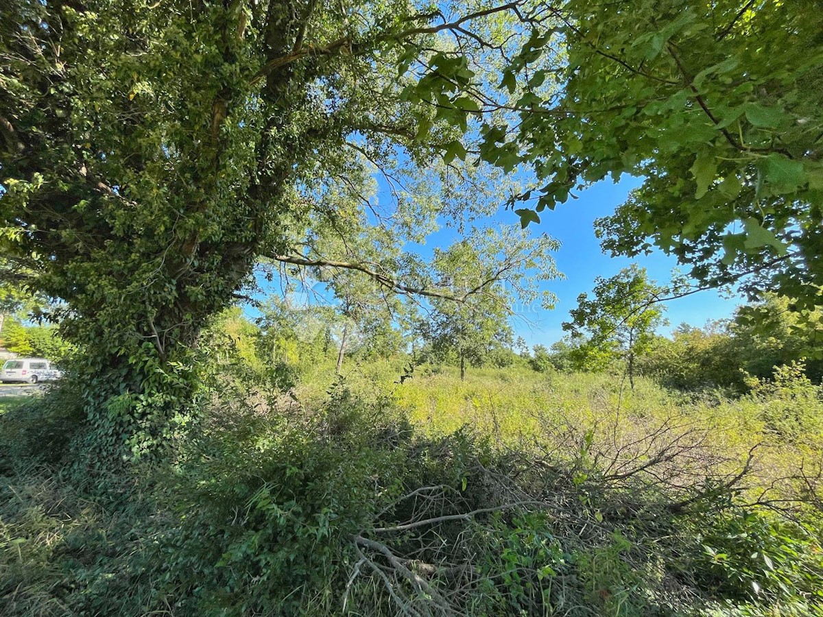 Parcela Naprodaj - ISTARSKA Barban