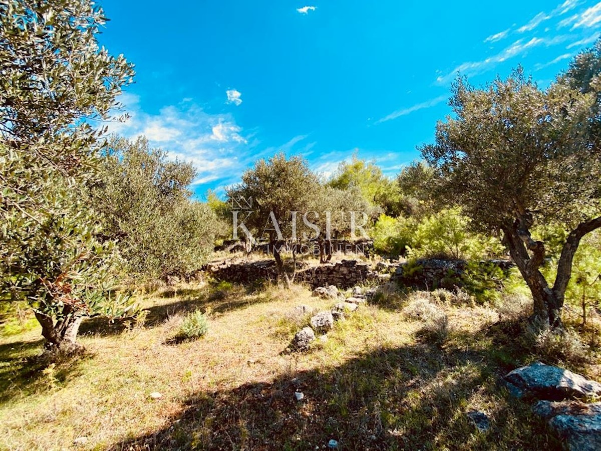 Land For sale - PRIMORSKO-GORANSKA MALI LOŠINJ