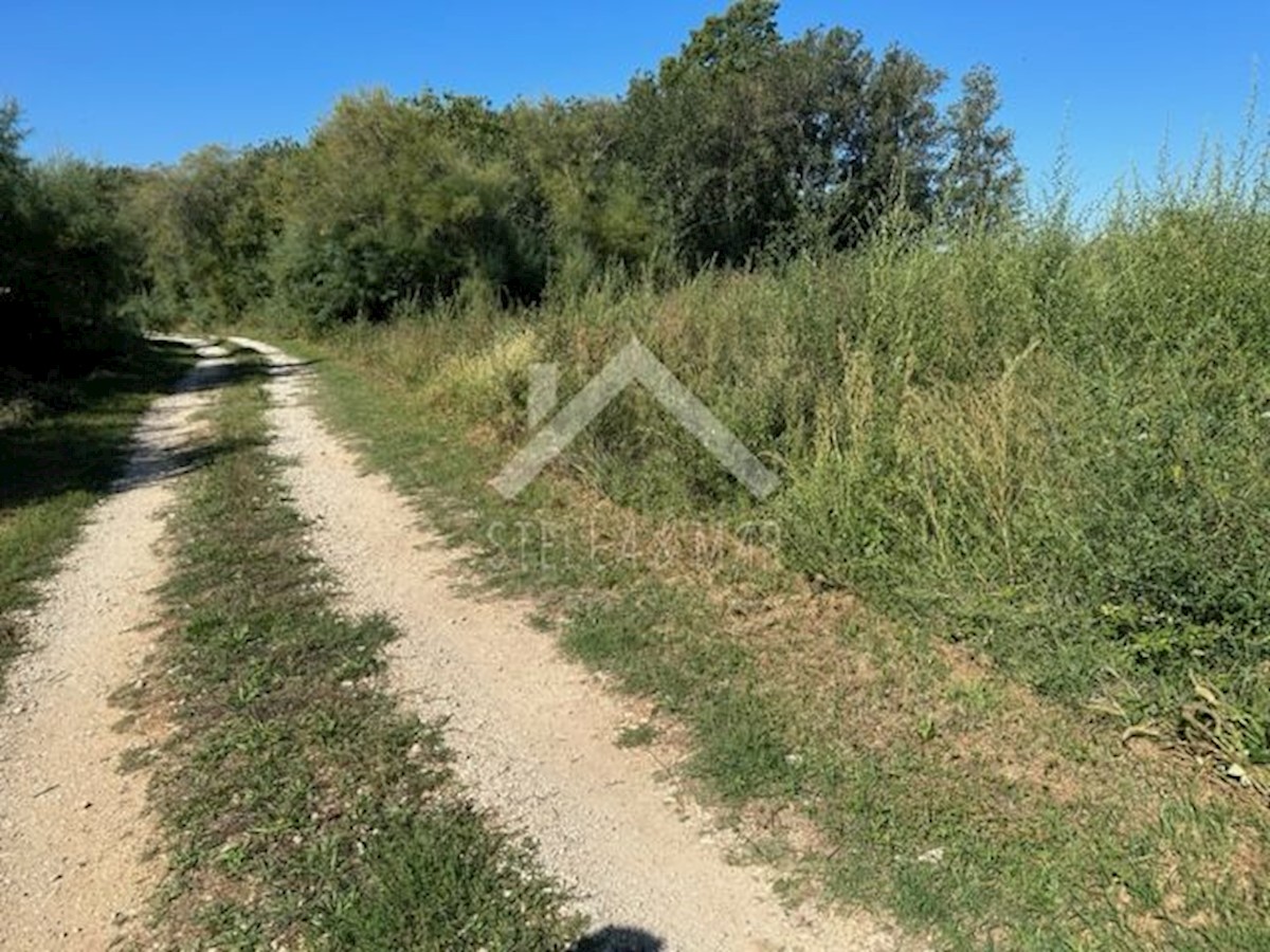 Terreno In vendita - ZADARSKA POSEDARJE
