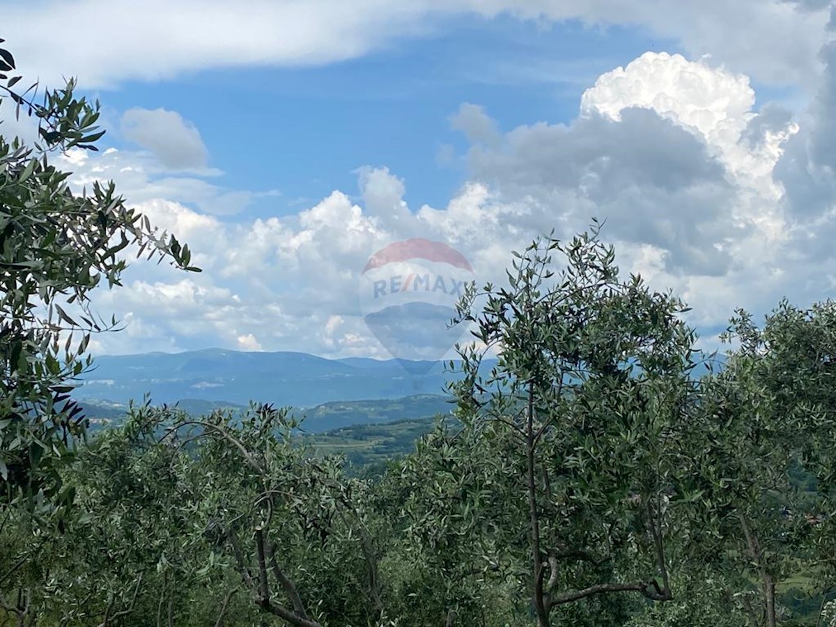 Terreno In vendita - ISTARSKA CEROVLJE