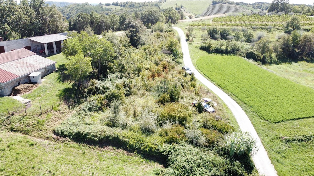 Pozemok Na predaj - ISTARSKA PAZIN