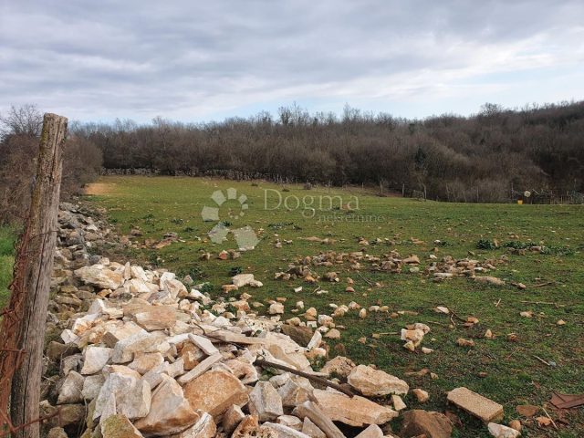 Terrain à vendre 4380 m² – Poreč