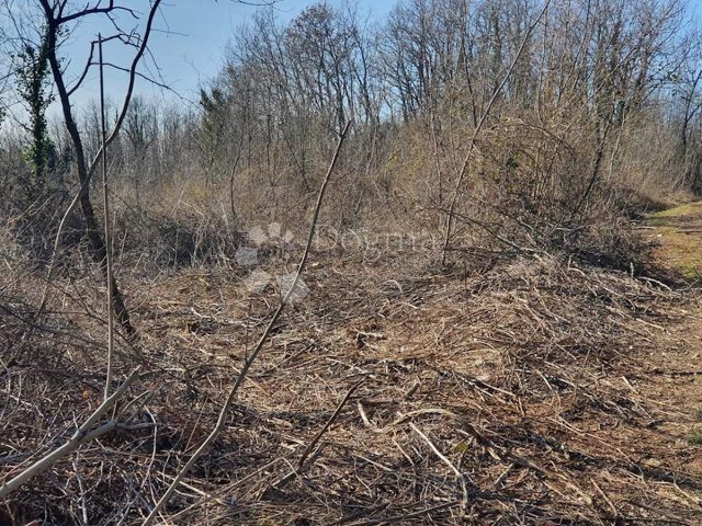 Land for sale 2400 m² – Pazin