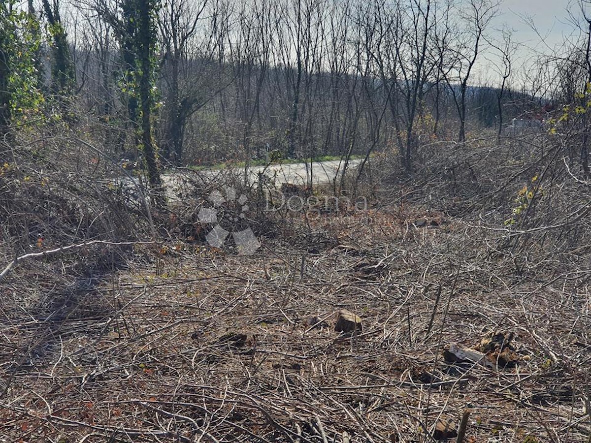 Działka Na sprzedaż - ISTARSKA PAZIN