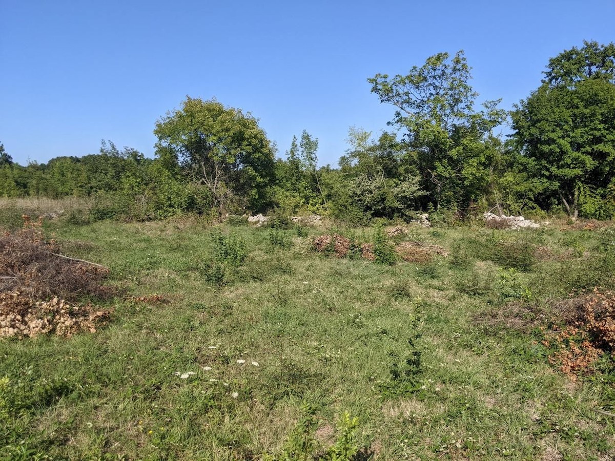 Terrain À vendre - ISTARSKA MARČANA