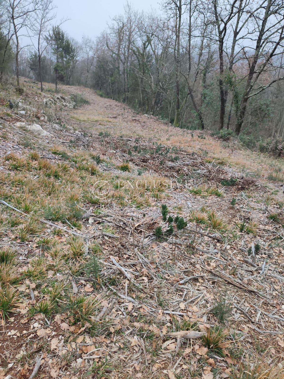 Grundstück Zu verkaufen - Primorsko-goranska Mošćenička Draga - foto 1/2