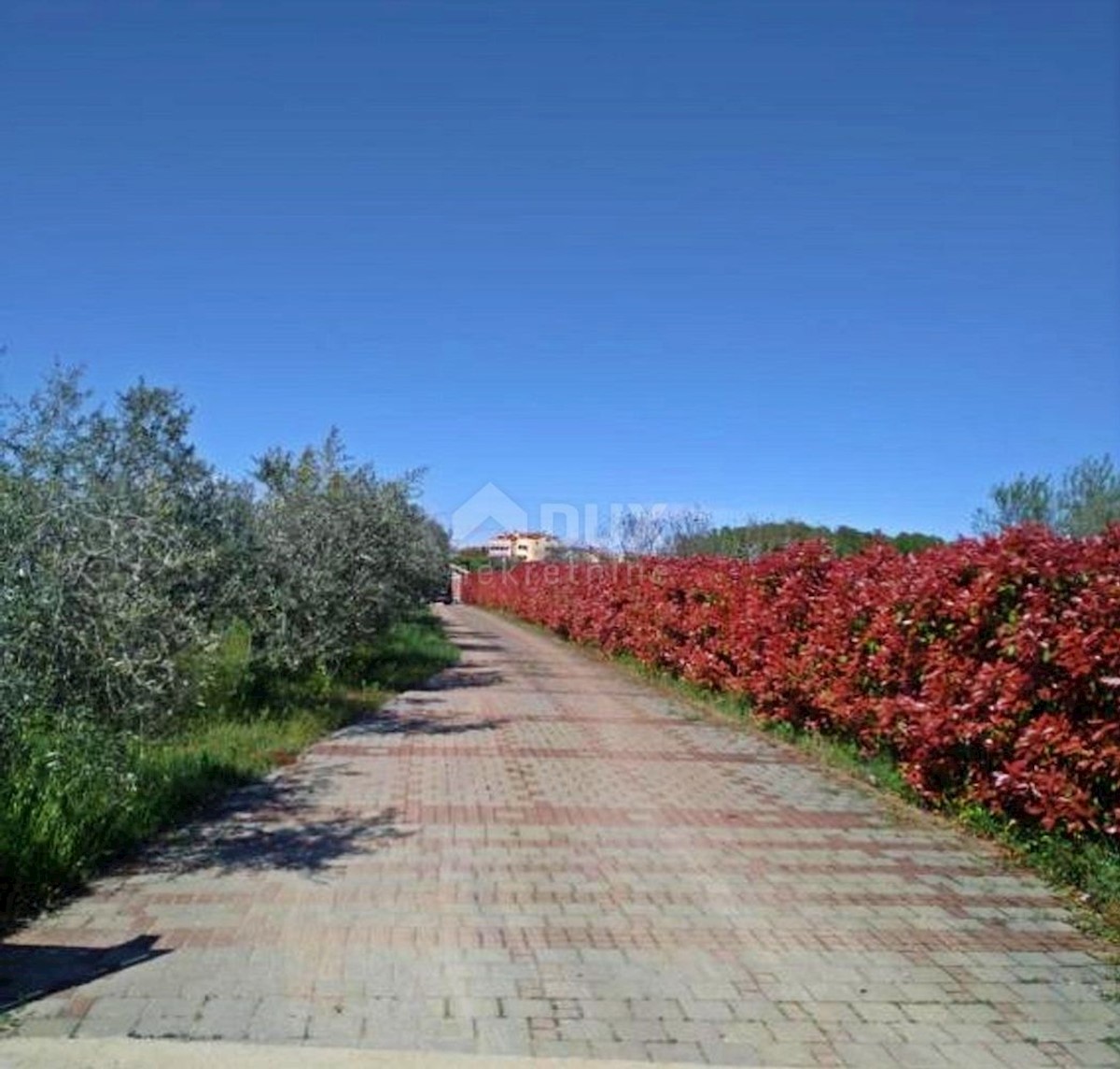 House For sale - ISTARSKA NOVIGRAD