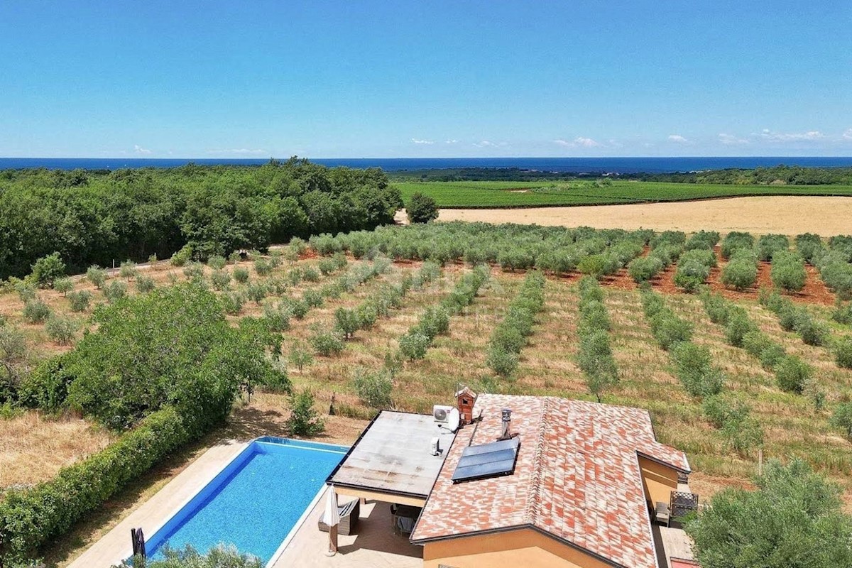 House For sale - ISTARSKA NOVIGRAD