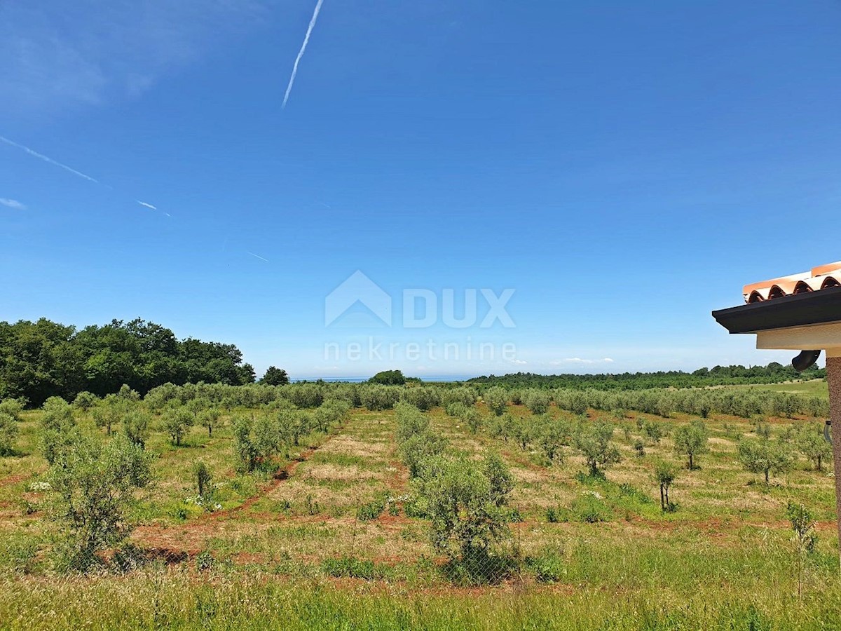 House For sale - ISTARSKA NOVIGRAD
