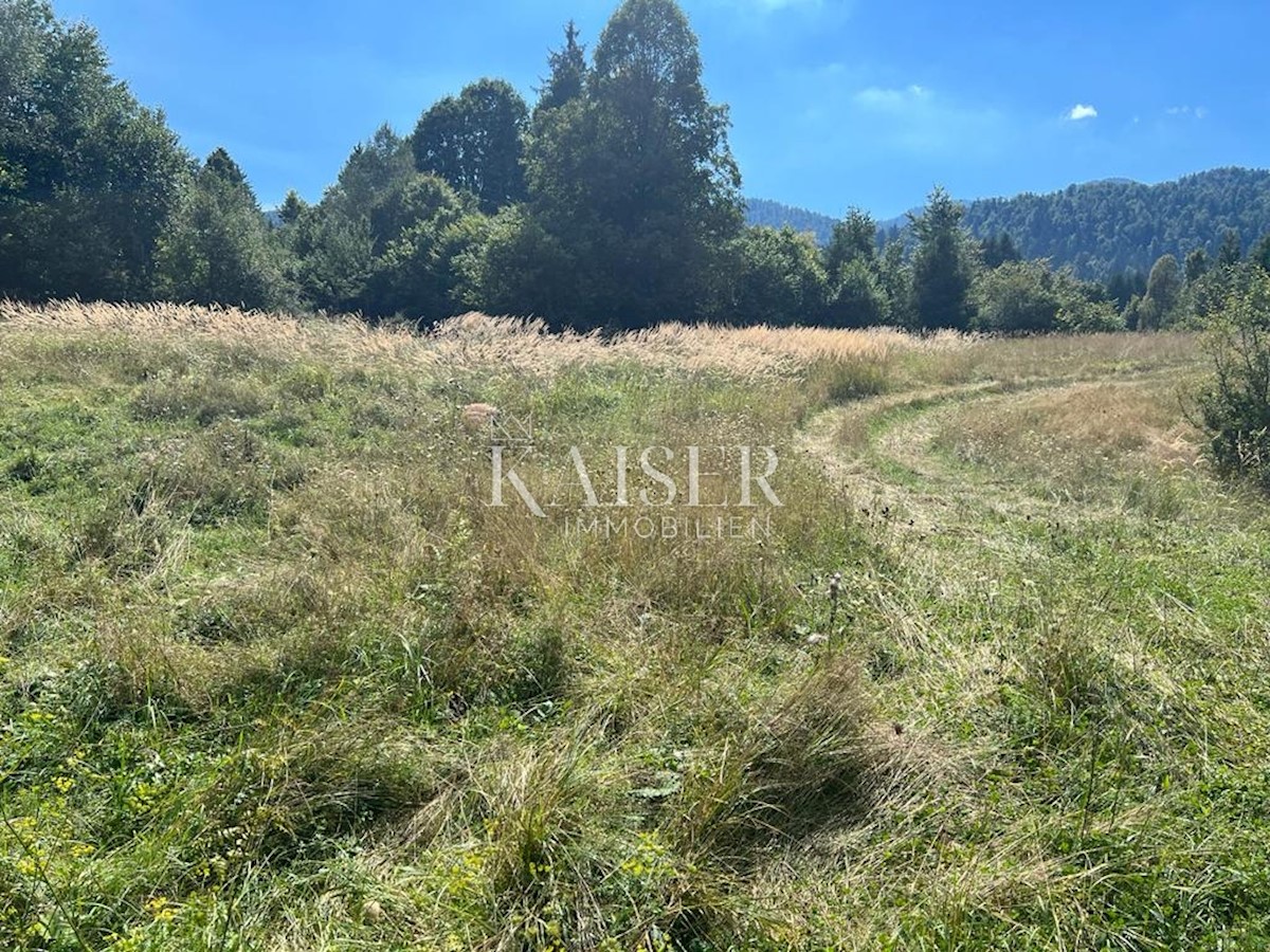 Land For sale - PRIMORSKO-GORANSKA DELNICE