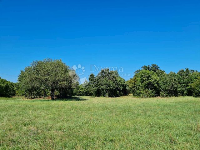 Grundstück zu verkaufen 17088 m² – Barban