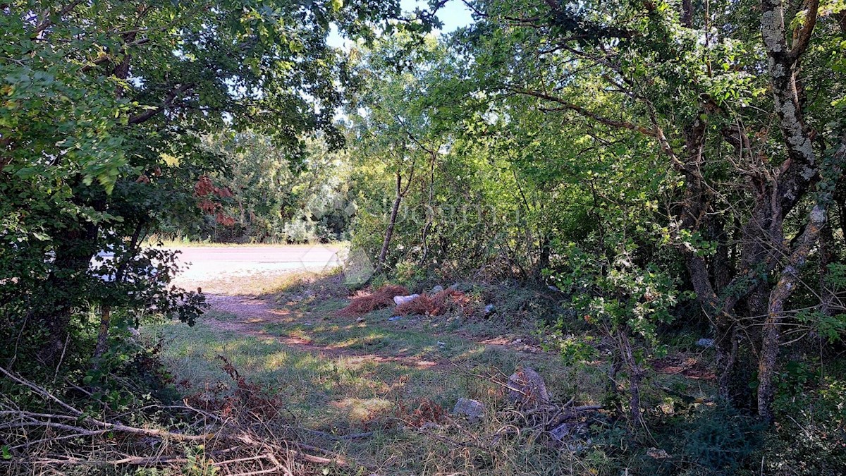 Parcela Naprodaj - ISTARSKA Barban