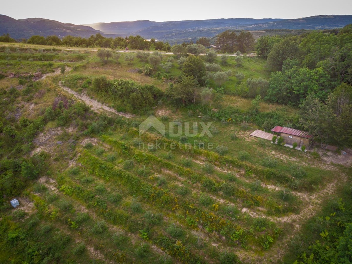 Land For sale - ISTARSKA CEROVLJE