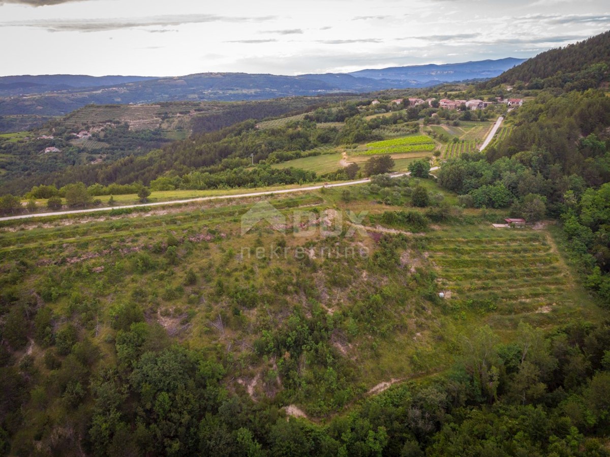 Terreno In vendita - ISTARSKA CEROVLJE