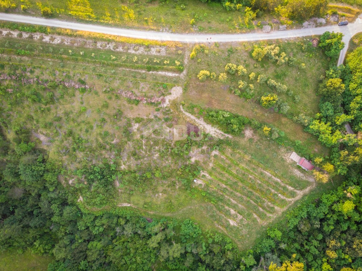 Terreno In vendita - ISTARSKA CEROVLJE