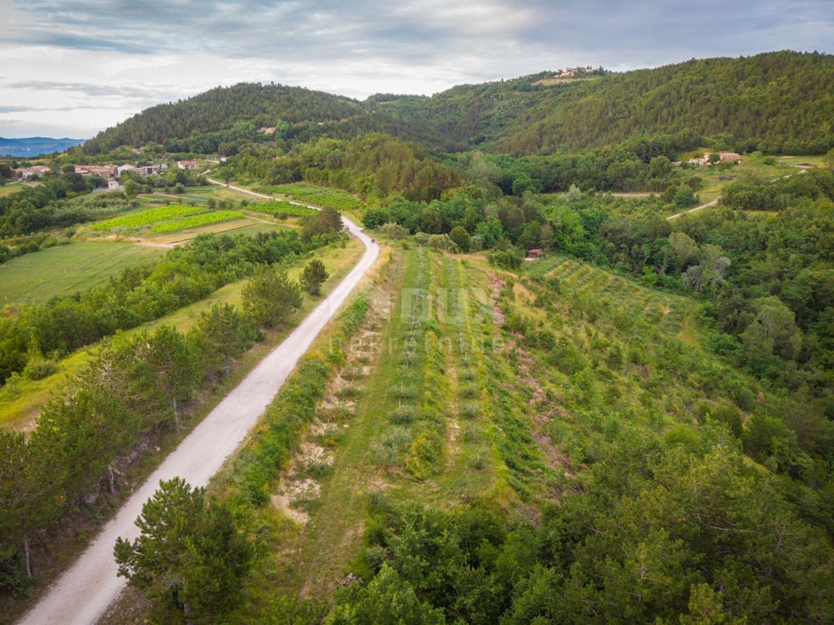 Land For sale - ISTARSKA CEROVLJE