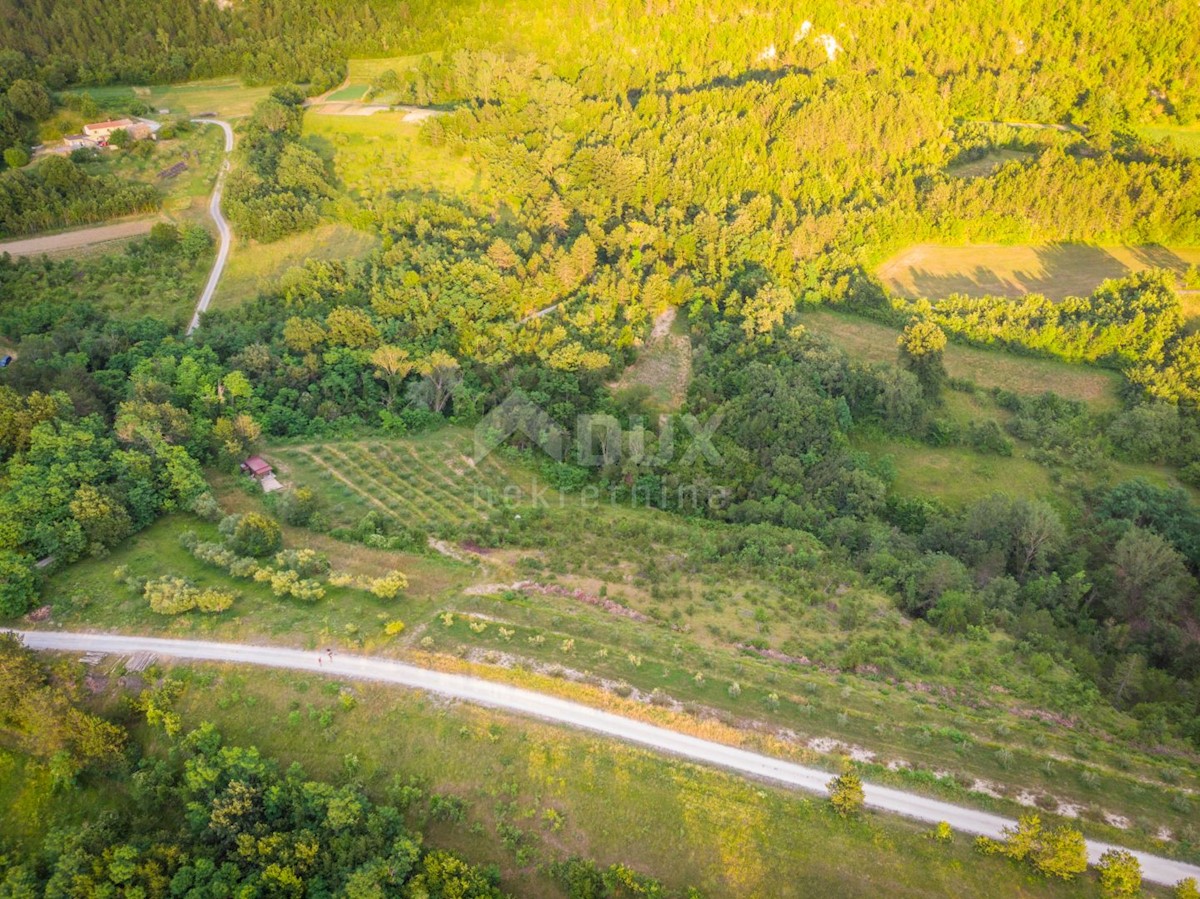 Land For sale - ISTARSKA CEROVLJE