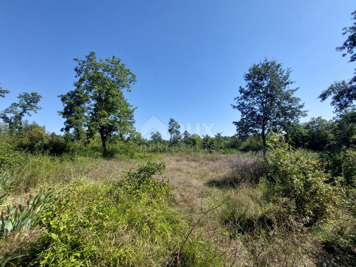 Terreno In vendita - ISTARSKA BARBAN