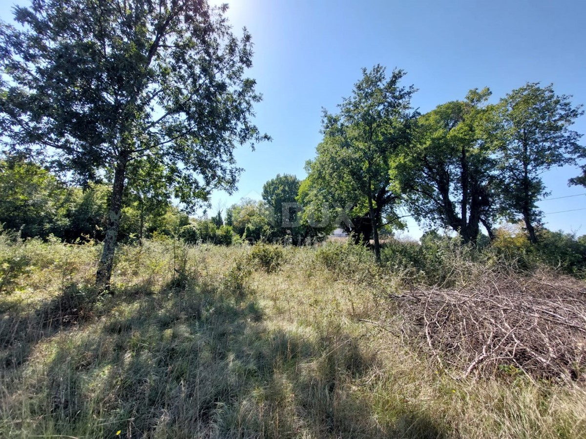 Terreno In vendita - ISTARSKA BARBAN