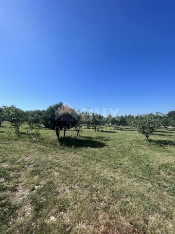 Parcela Naprodaj - Istarska Marčana - foto 5/5