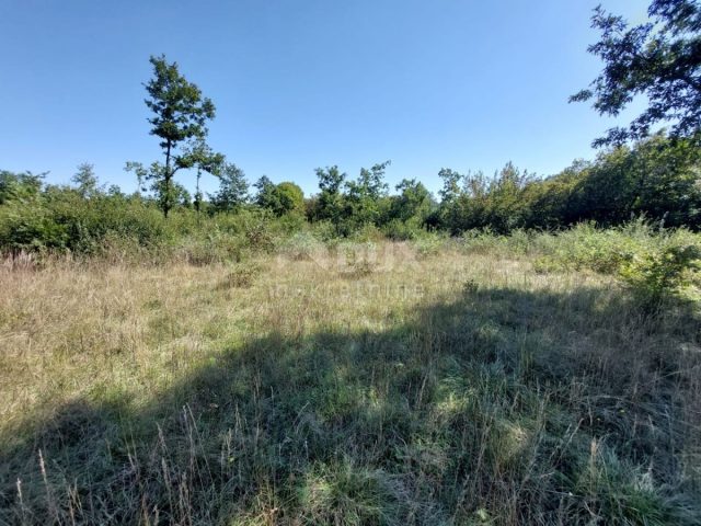 Land for sale 1304 m² – Barban