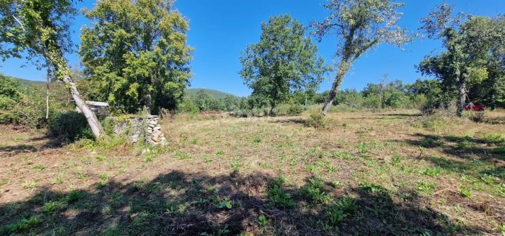 Działka na sprzedaż 6046 m² – Grožnjan