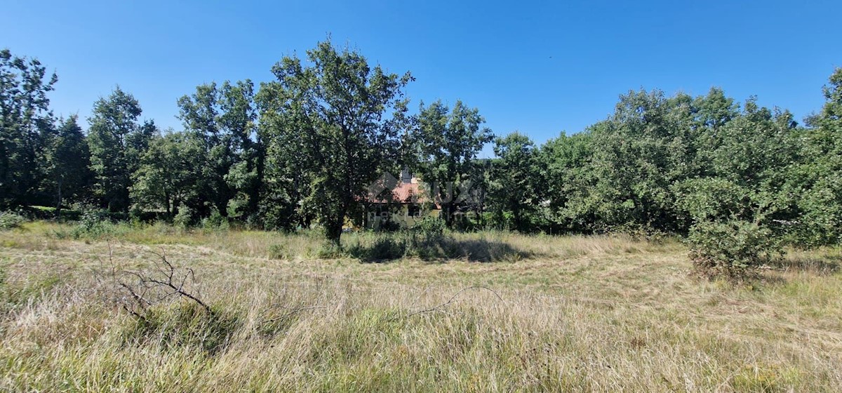 Terreno In vendita - ISTARSKA GROŽNJAN