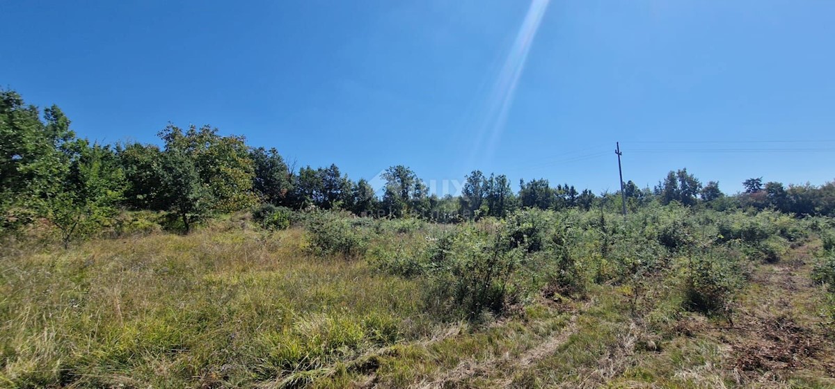 Terreno In vendita - ISTARSKA GROŽNJAN